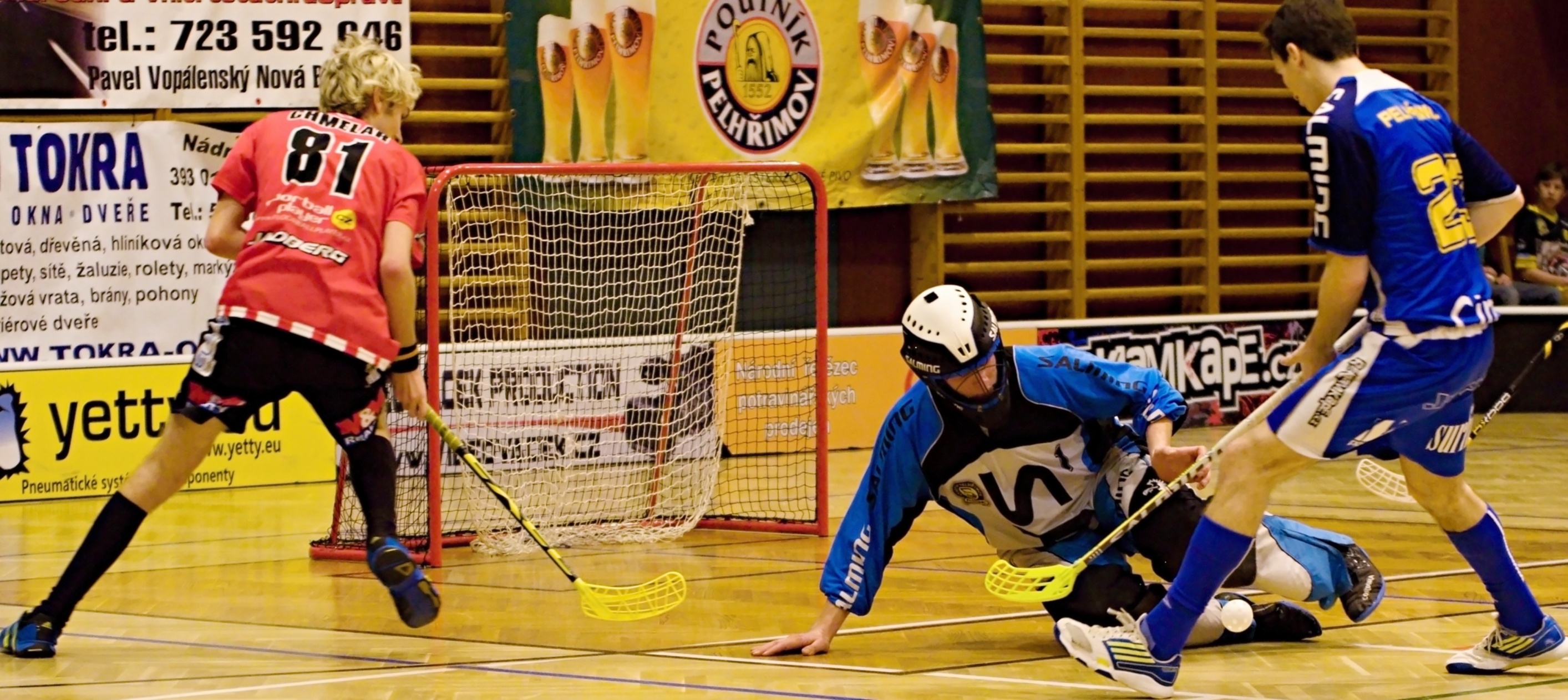 Pe.A   PArdubice 16.2.2013 (33)